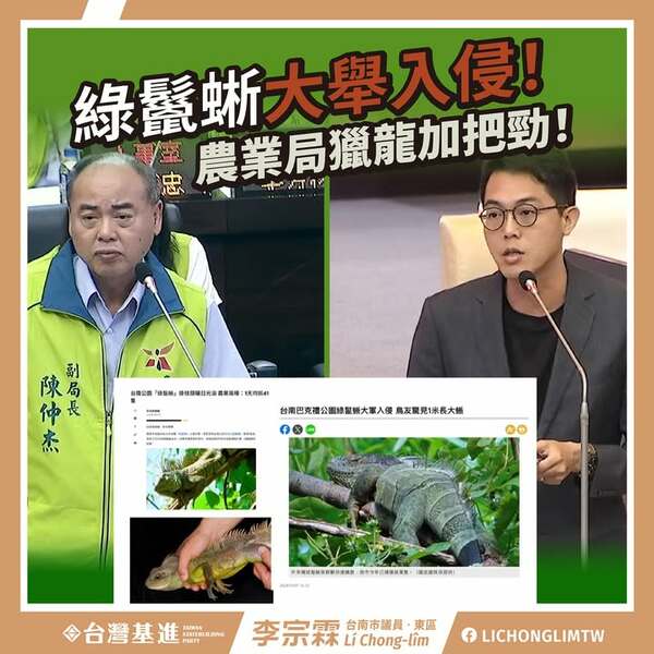 加強綠鬣蜥移除力道，阻止擴散