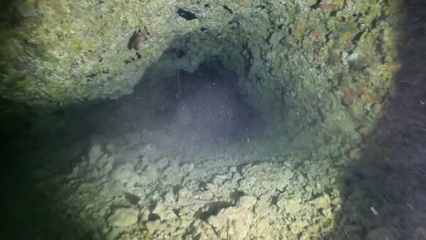 Turtle tomb in palau 帛琉 龜塚