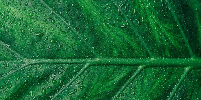 新境界智庫台美中小組聲明