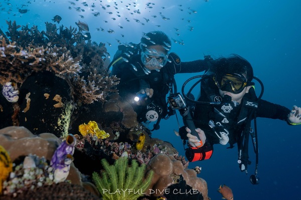 科摩多船宿紀錄komodo 2025.5