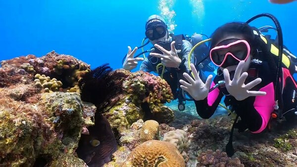 小琉球 與章魚哥的第一次接觸