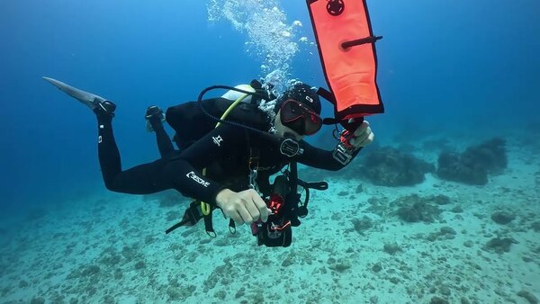 SMB deployment 水面信號裝置 (浮力袋) 施放示範 by 島氮潛水