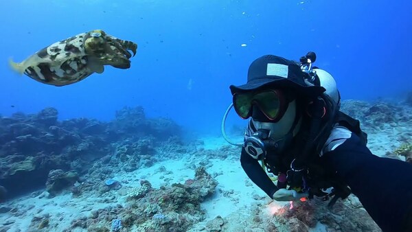 變色花枝 小琉球 水肺潛水