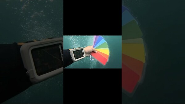 《課程 - 水下的顏色變化color loss》潛水的神奇現象 顏色在不同深度變色了