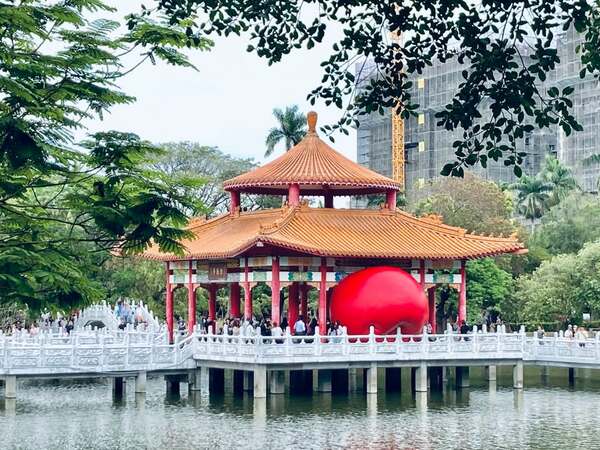 跟風追紅球臺南公園編 