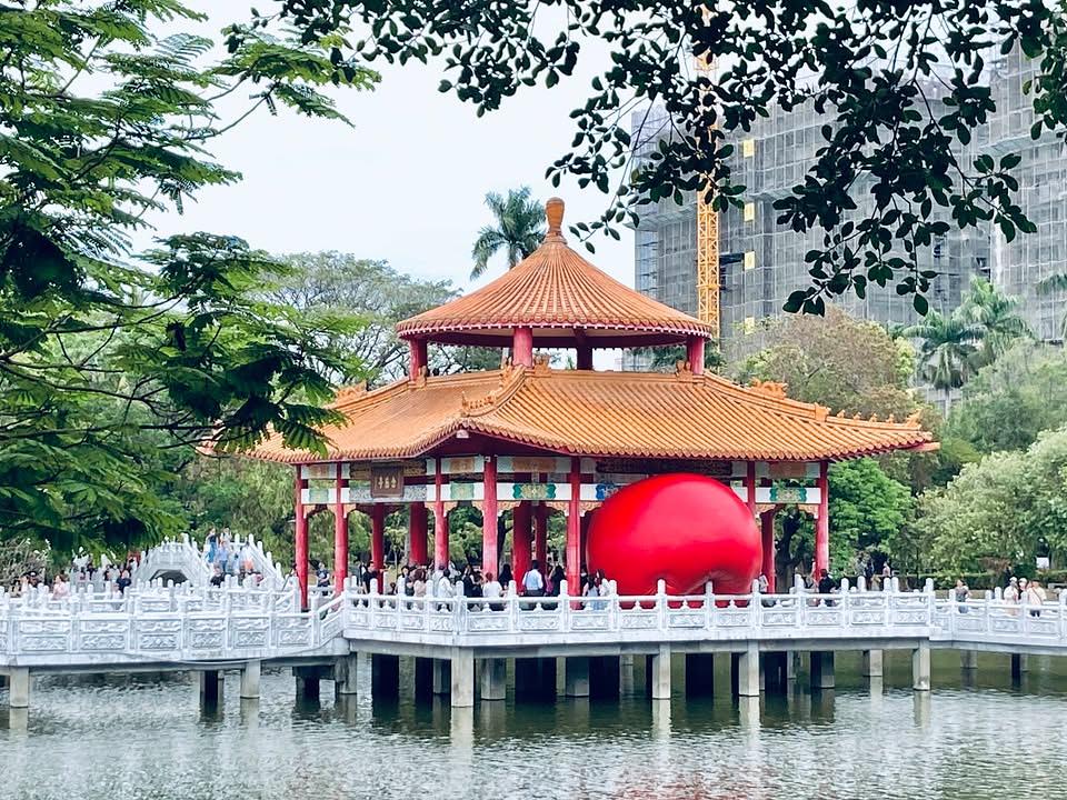 跟風追紅球臺南公園編 