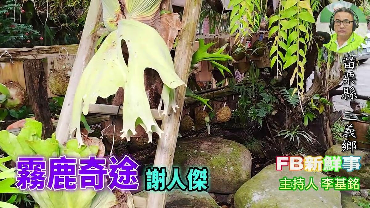 霧鹿奇途 、謝人傑 專訪（苗栗縣－三義鄉）