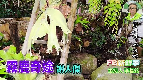 霧鹿奇途 、謝人傑 專訪（苗栗縣－三義鄉）