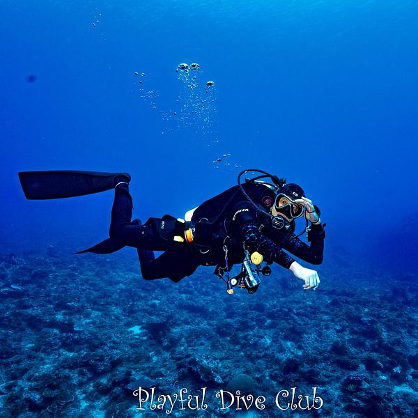 BCD選購指南之背囊篇