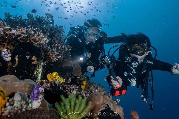 科摩多船宿紀錄komodo 2025.5