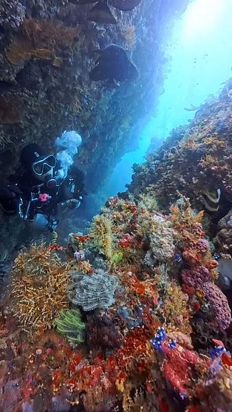 休閒潛水員在潛旅使用側掛的幾個好處