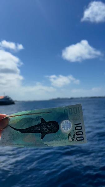 馬爾地夫船宿四方線八天七夜