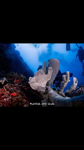 菲律賓Dalaguete AAD移地訓練