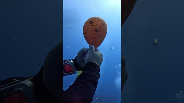 《島氮小學堂 - 空氣體積隨深度變化 水肺潛水實驗室Volume changes with depth》