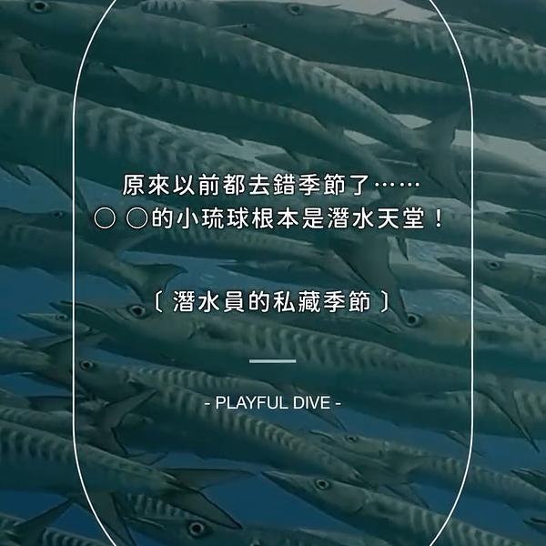 內行人不說的春季秘密🤫