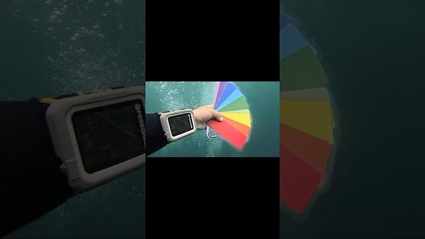 《課程 - 水下的顏色變化color loss》潛水的神奇現象 顏色在不同深度變色了