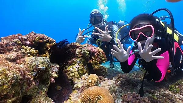 小琉球 與章魚哥的第一次接觸