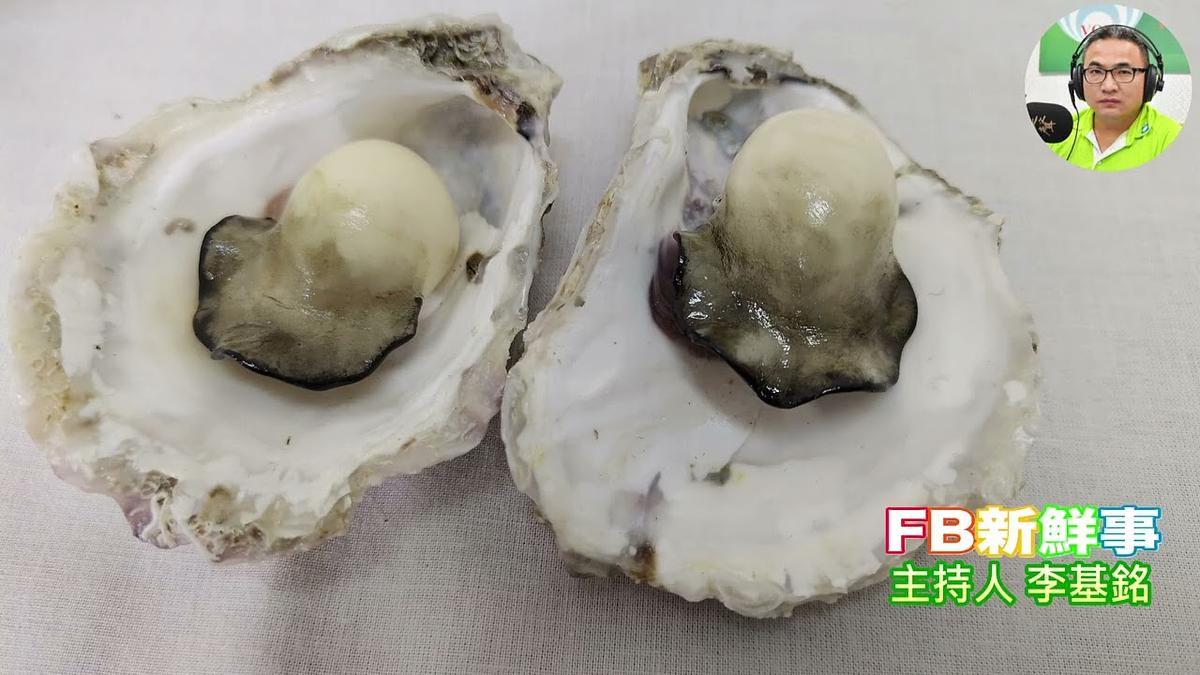 銘峰蝦餅、蔡銘峰（臺南市－安平區、銘峰蝦餅）