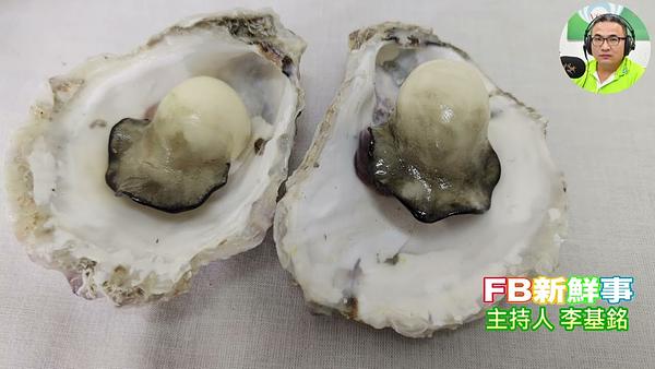 銘峰蝦餅、蔡銘峰（臺南市－安平區、銘峰蝦餅）