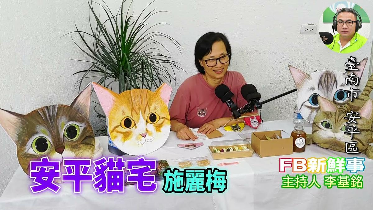 2026-06-26 安平貓宅、施麗梅 專訪(臺南市-安平區)