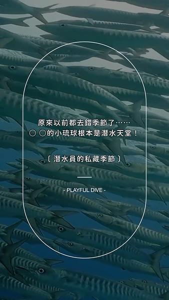 內行人不說的春季秘密🤫