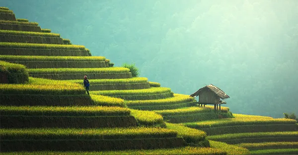 企業與人權 : 新南向政策，以鄰為壑？