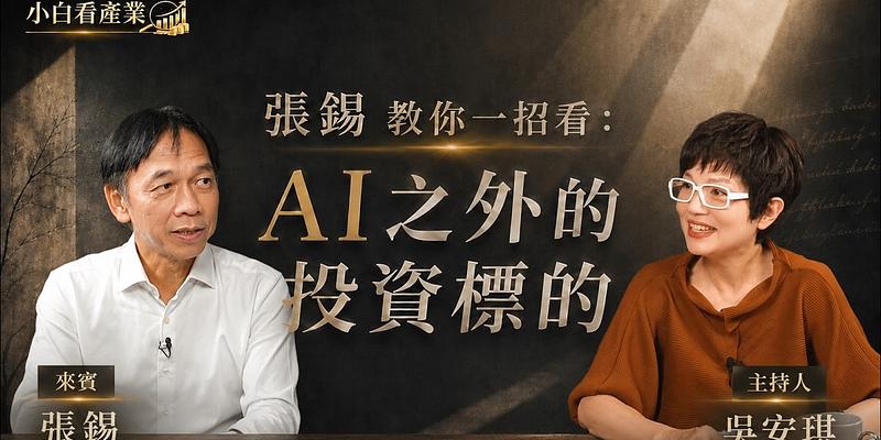 331 檔璞玉股怎麼挑？張錫公開非 AI 黑馬與退休布局