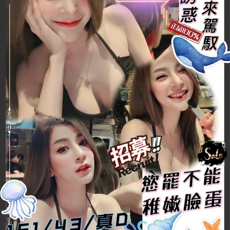 海豚
