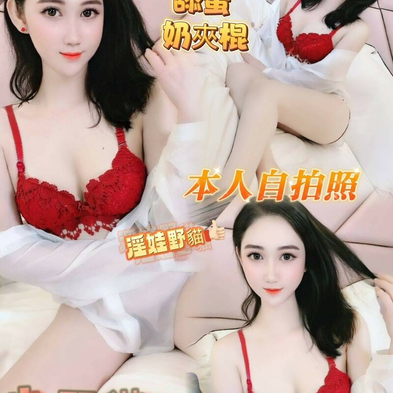 小野貓