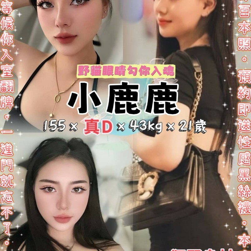 小鹿鹿
