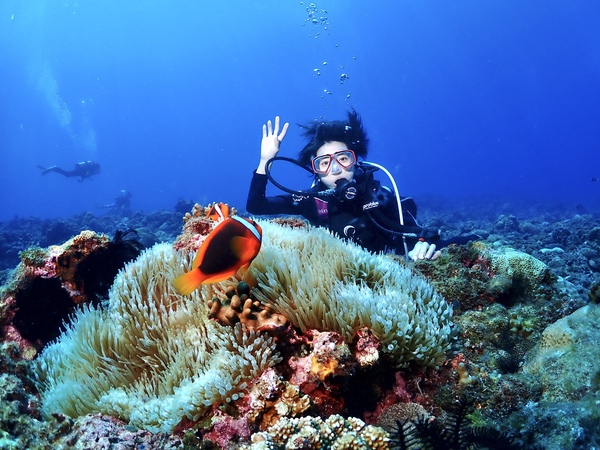 體驗潛水 Discover Scuba Diving