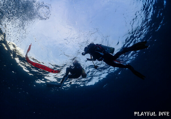 救援潛水員課程<br>Rescue diver
