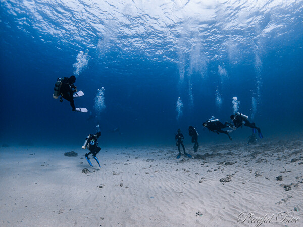潛水長課程<br>Dive master