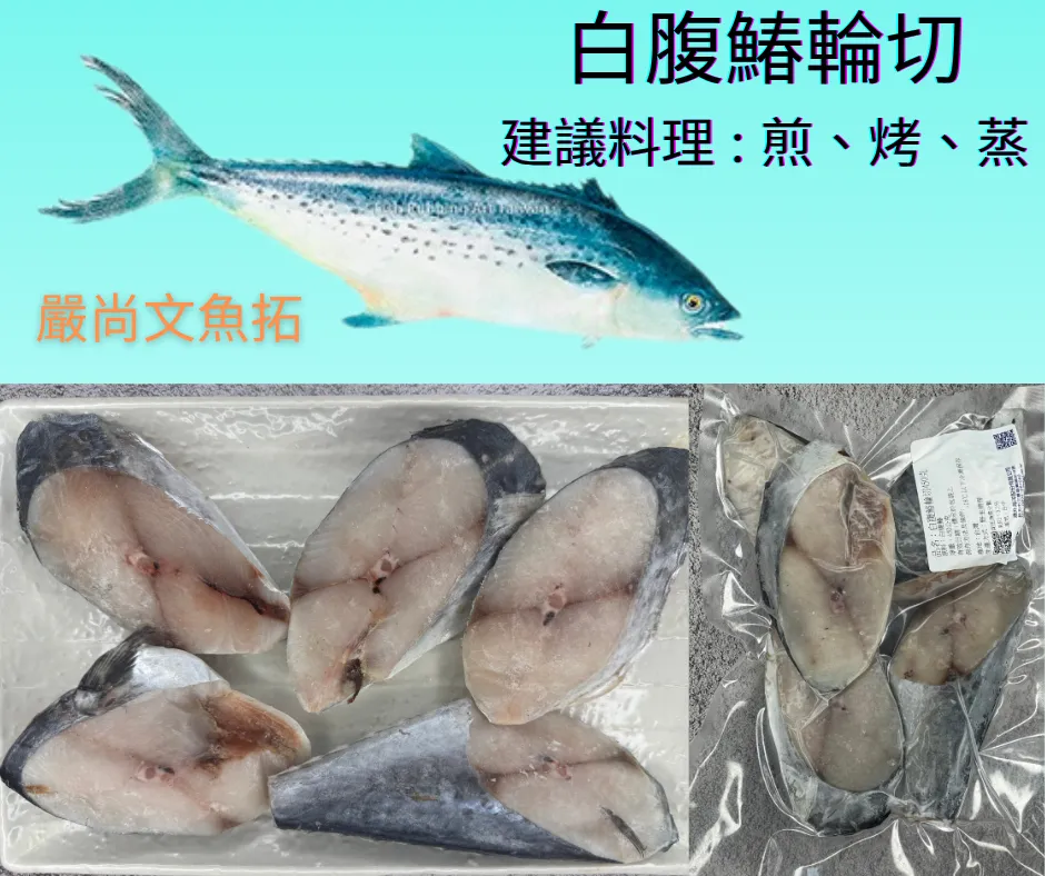 野生白腹鰆 450g整尾輪切