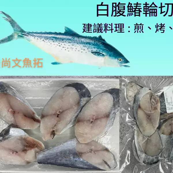 野生白腹鰆 450g整尾輪切