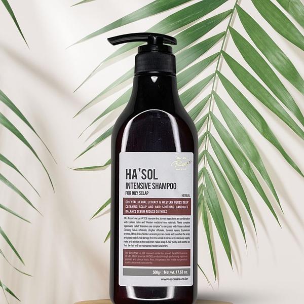 【500ml】強效洗髮精