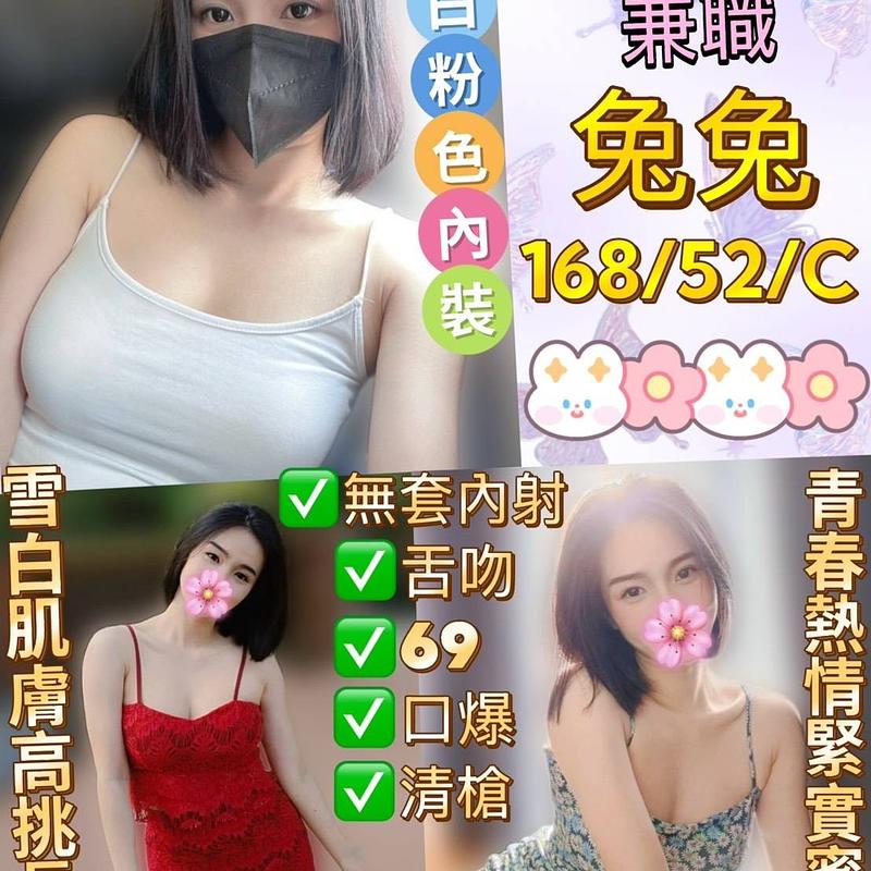 兔兔