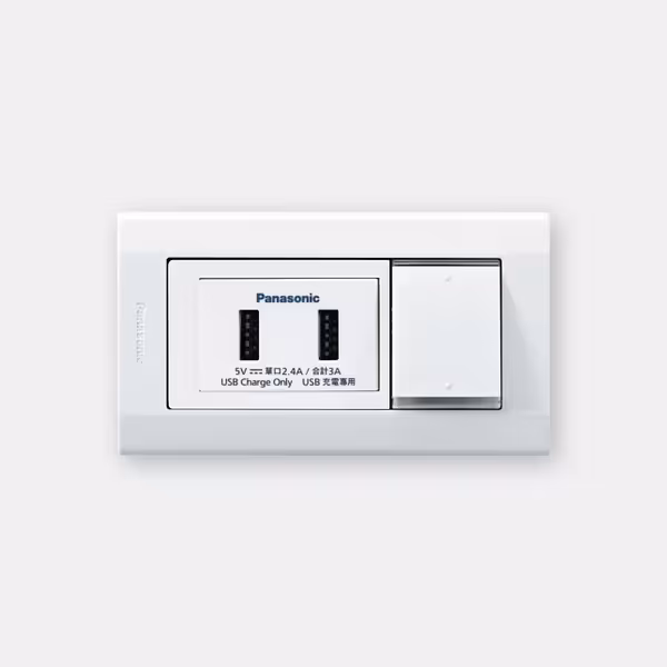 Panasonic國際牌 星光系列 USB / Type-C 智慧充電插座 (開關 / 單插座多款組合自由選)