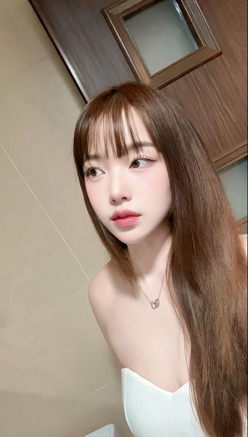 蝶蝶