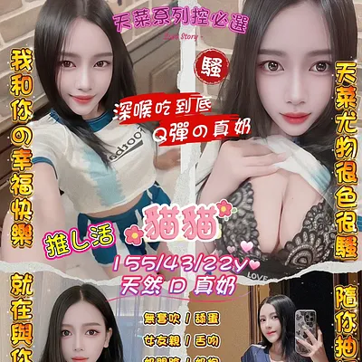 貓貓