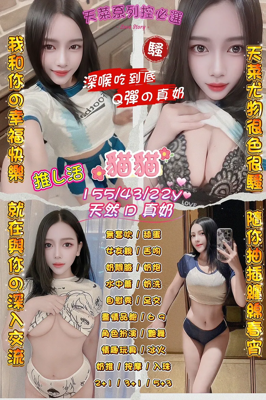 貓貓