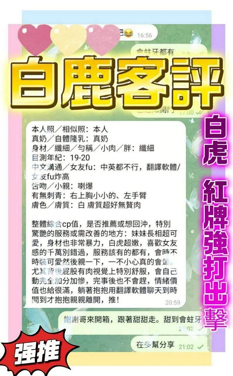 白鹿