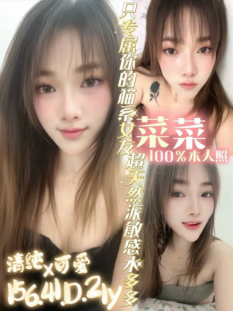 菜菜