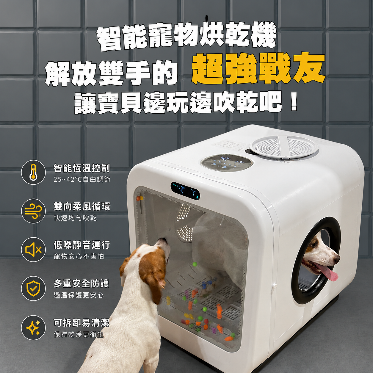 解放雙手-寵物智能烘乾機