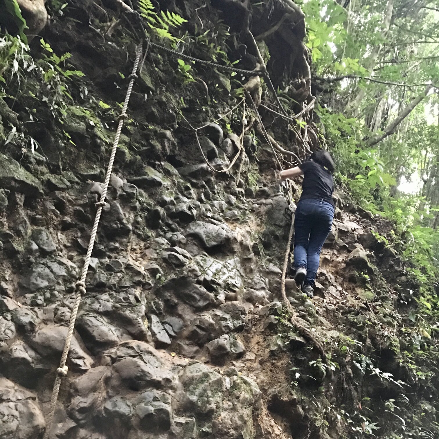 江孟真