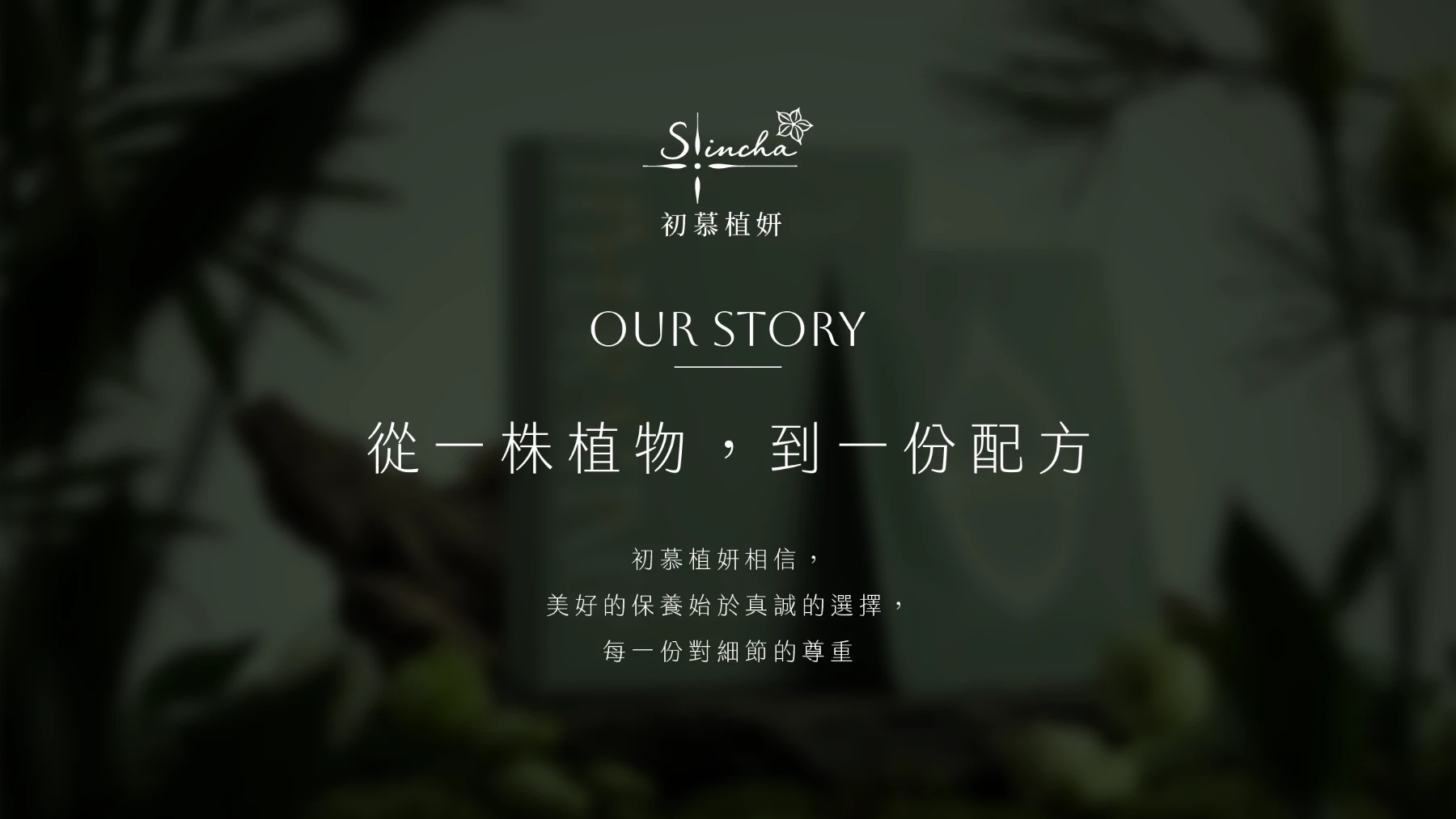 品牌故事