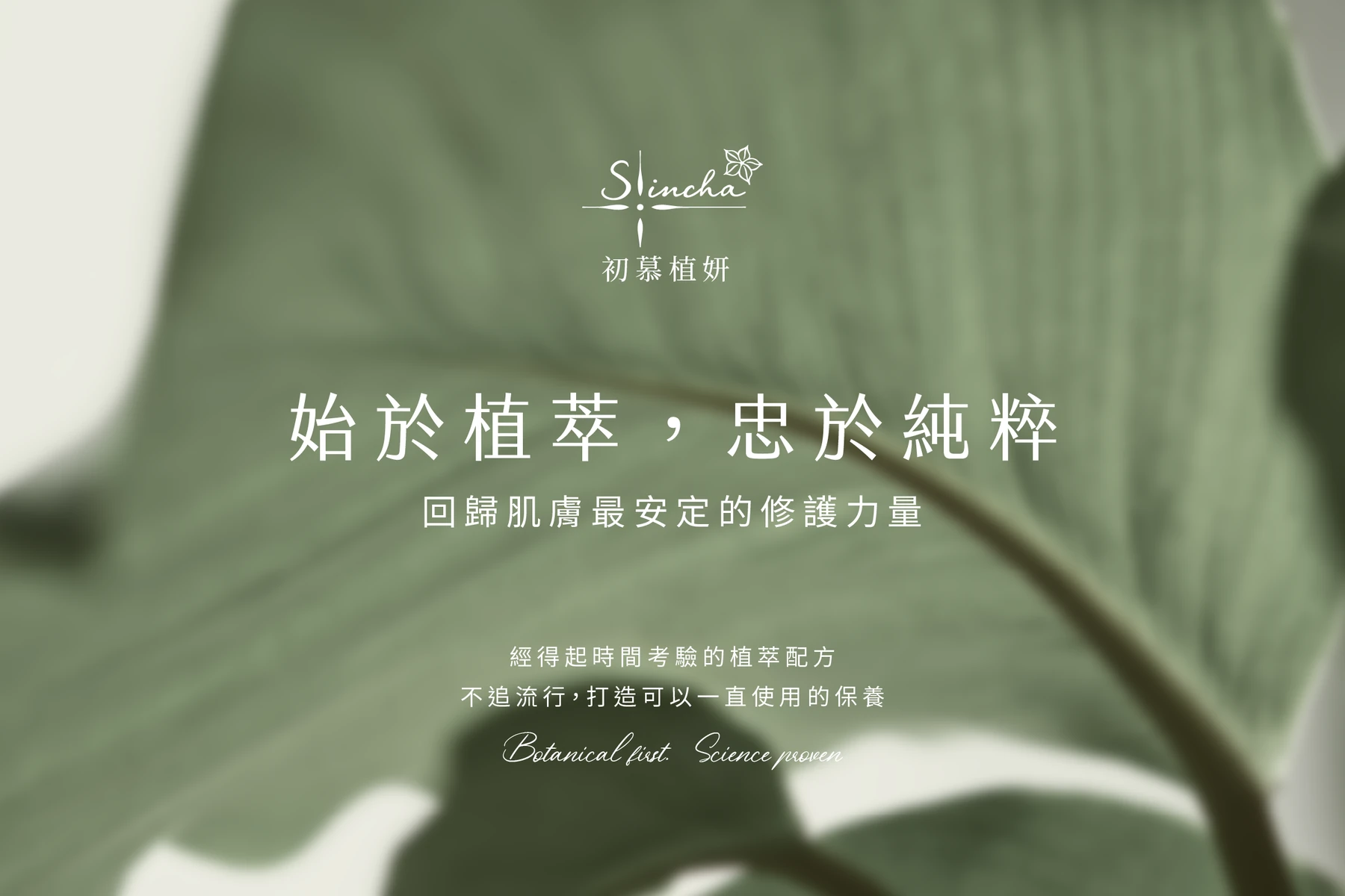 始於植萃，忠於純粹｜回歸肌膚最安定的修護力量