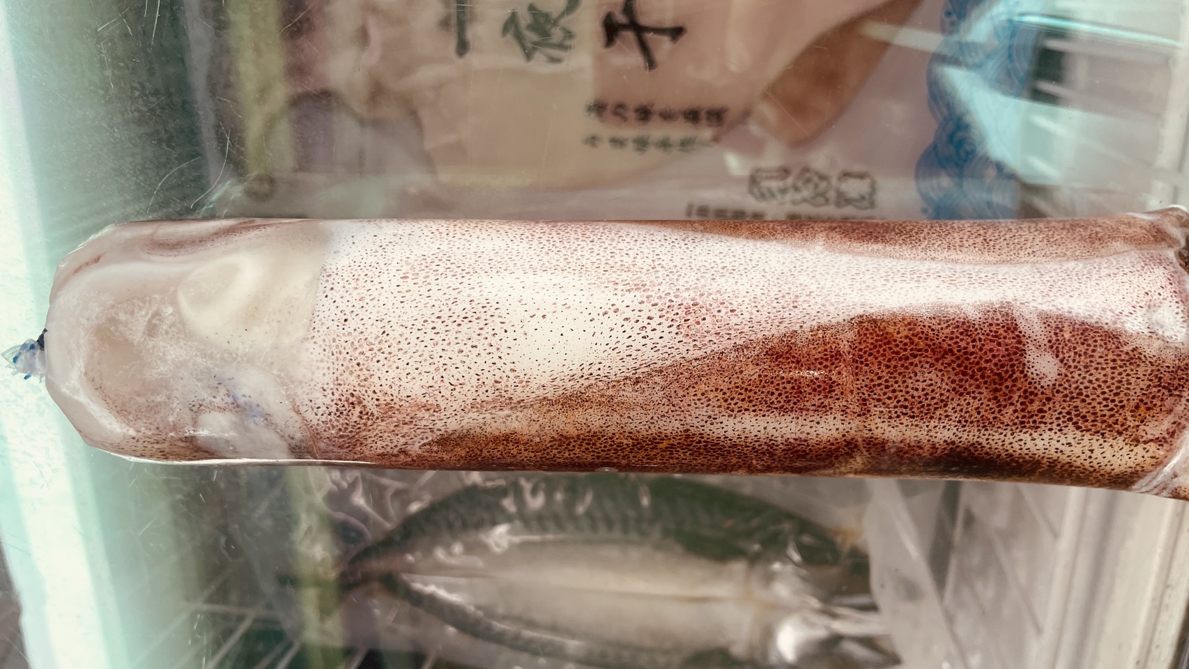 大軟絲(500g)