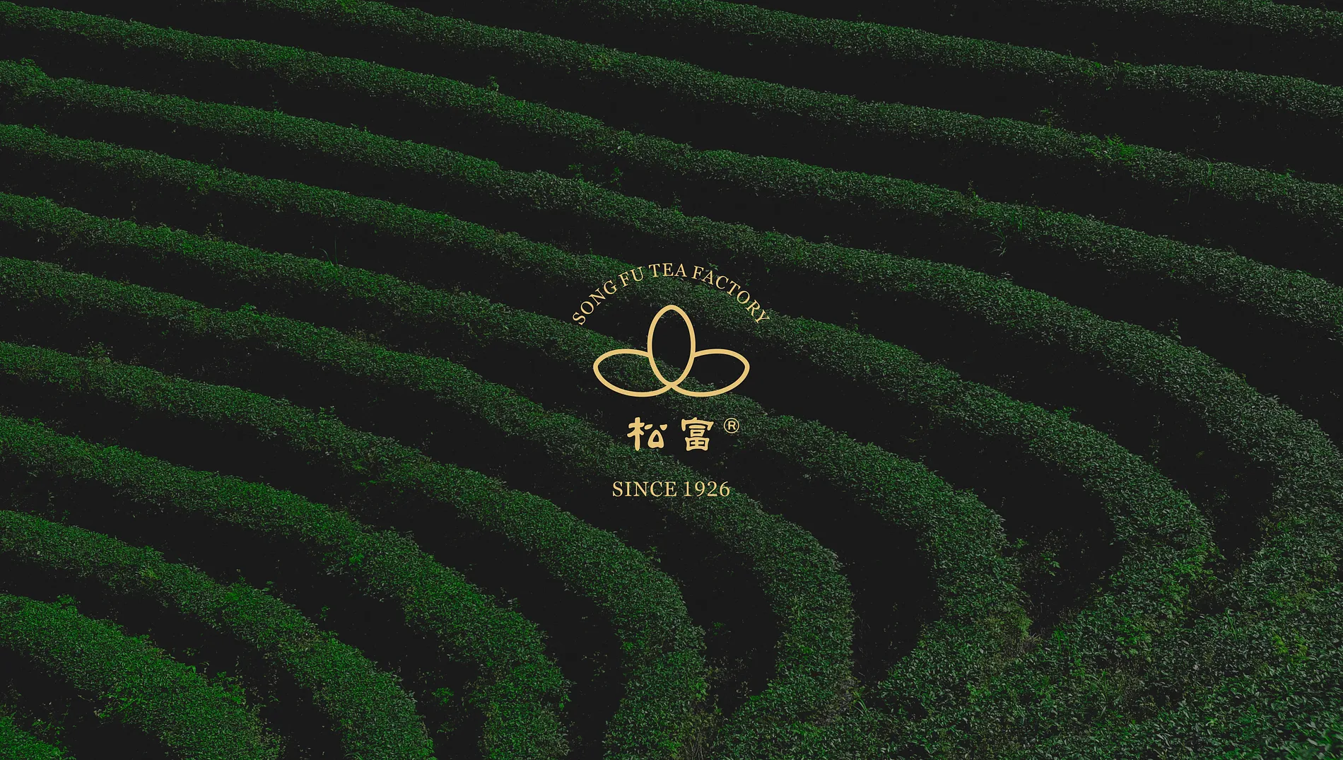 松富茶廠